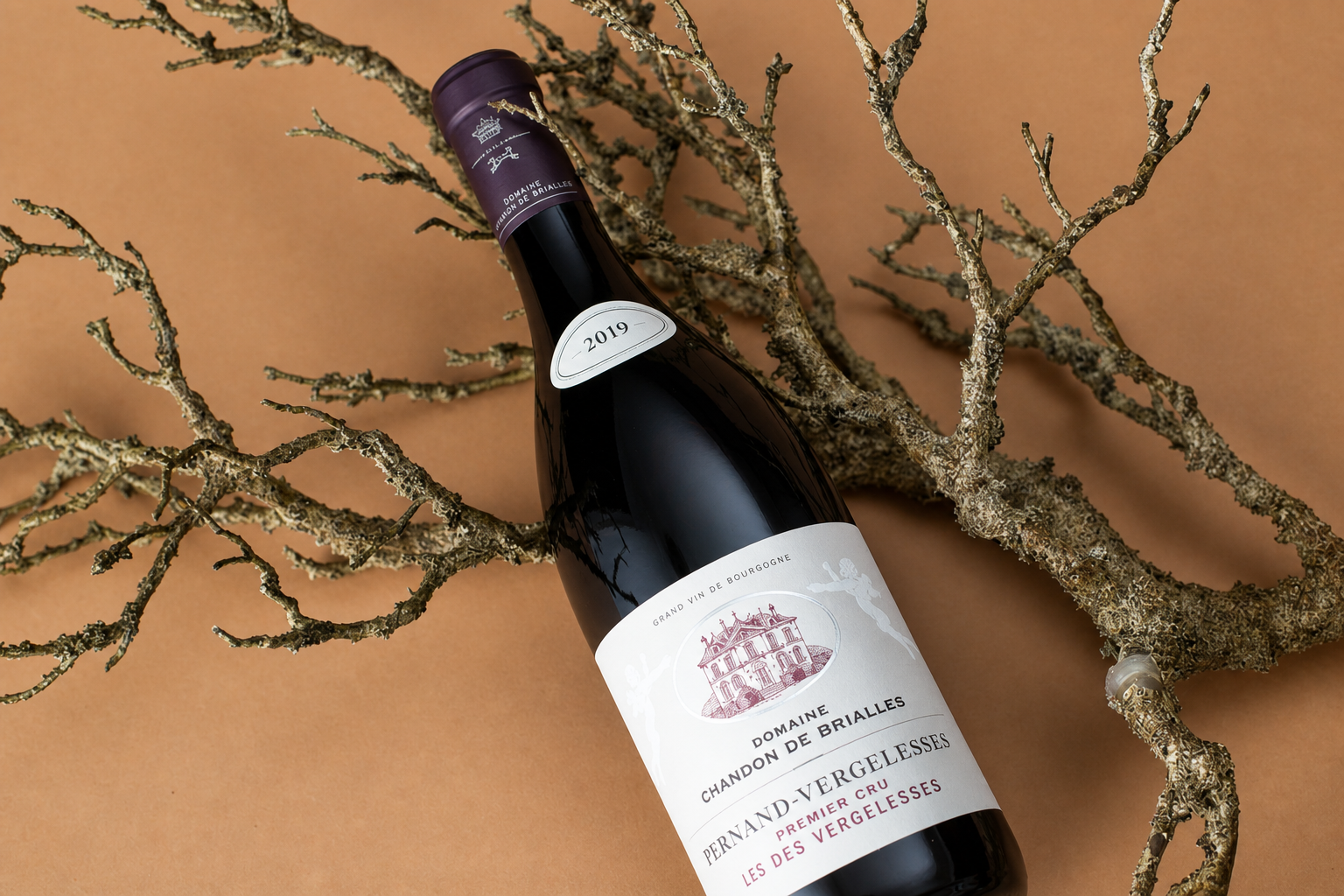Fine wine bottles maturing in the cellar